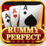 Rummy PERFECT